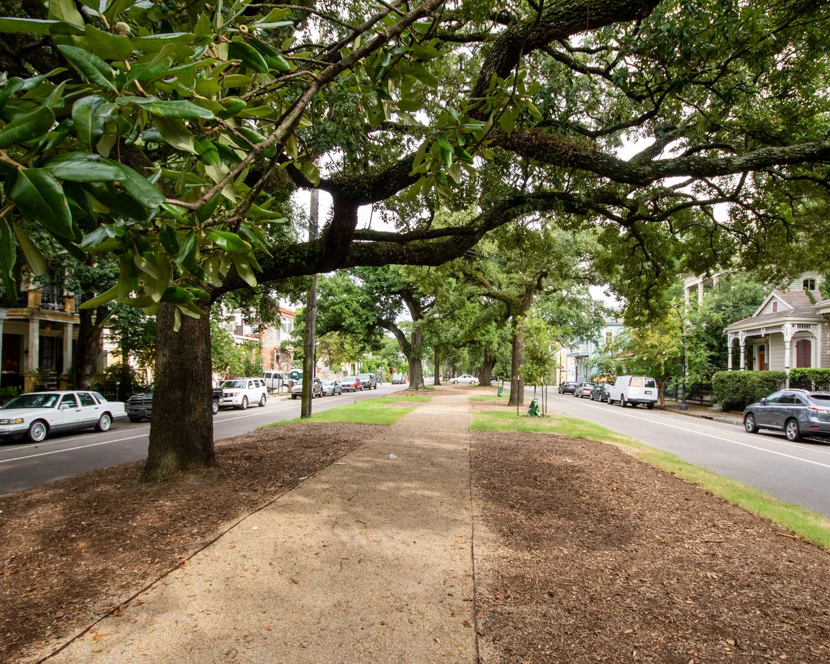 esplanade image